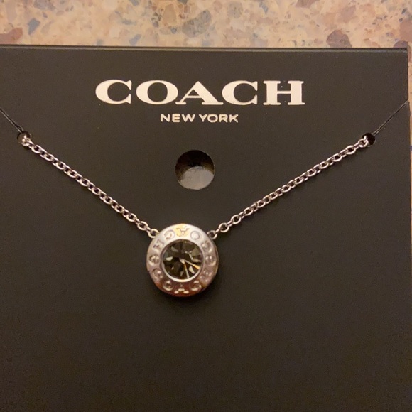 NWT Coach Open Circle Stone Strand Silver Tone Necklace - Picture 5 of 7